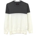 【超美品】ブリーフィング セーター 白×ブラウン バイカラー 背面エンボスロゴ メンズ M ゴルフウェア BRIEFING