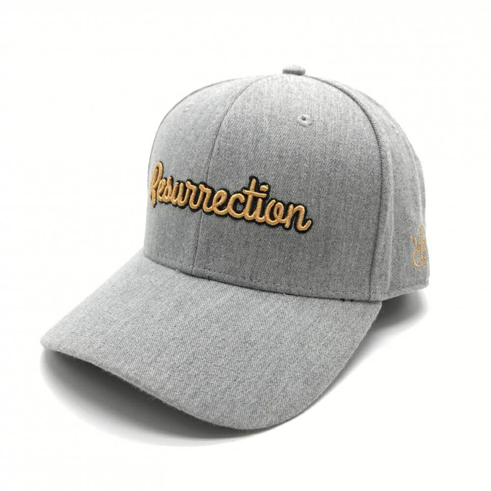 【美品】レザレクション キャップ グレー ロゴ刺しゅう ONE SIZE ゴルフウェア Resurrection