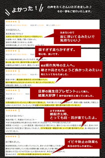 【父の日ギフト】高反発枕ダブルウェーブまくら35×50cm(高さ9cm8cm)|枕プレゼント枕カバー肩こり父の日かためいびき防止高反発いびきうつぶせ寝高さ調整ギフトピローケース高反発まくらピロー横向き寝用枕安眠枕ピローカバー硬い枕硬め寝具