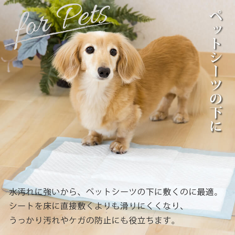 ペット用 PVCマット 3枚セット 30×50cm 1.5mm すりガラス風 | 犬用 猫用 ランチョンマット ペットマット 透明 クリアマット 撥水 防水 ごはん 食べこぼし 餌用マット おしゃれ クリア 保護マット 汚れ防止 傷防止 洗える お食事マット ボウル置き トイレ ペットシート