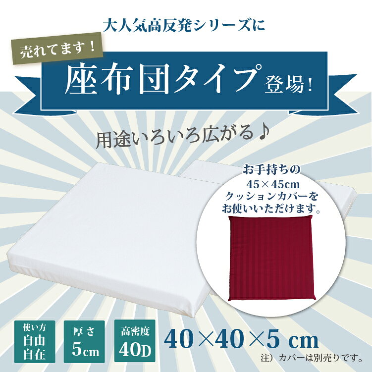 高反発 シートクッション 2枚セット 40×40×5cm ヌードクッション | 40×40cm おしゃれ かわいい クッション 座布団 疲れにくい 高反発クッション お食事クッション 椅子 ソファー 子供 フロアクッション 背当て シート チェアパッド 和室 来客用 正方形 小さめ 2枚組 [3]