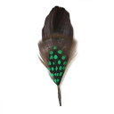 帽子 ハット用 羽飾り ブラウン×グリーン メンズ レディース 天然 鳥 羽根 フェザー F-J その1