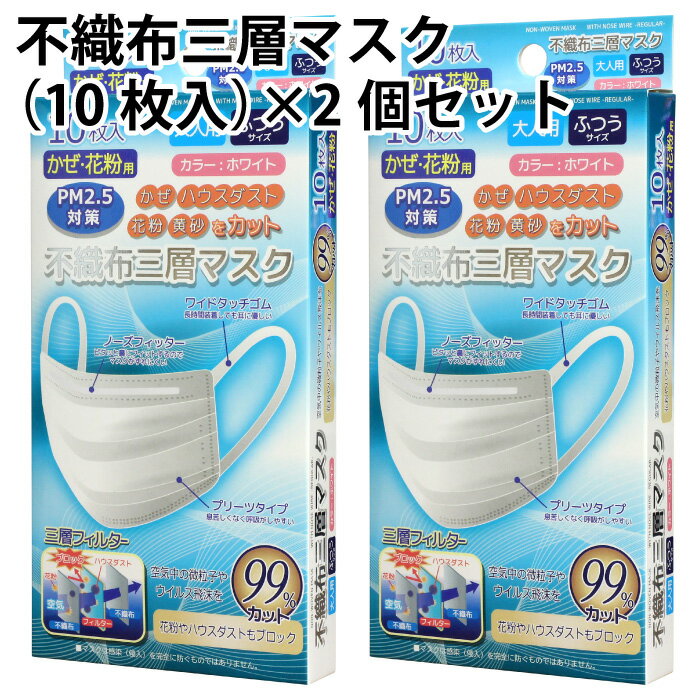 不織布 三層 マスク（10枚入）×2個セット 大人用 ふつう サイズ かぜ 花粉用 PM2.5 対策 ハウスダスト 花粉 黄砂 カット【ゆうパケット 送料無料（配送日時指定 不可）】【在庫あり・即発送可】(4)