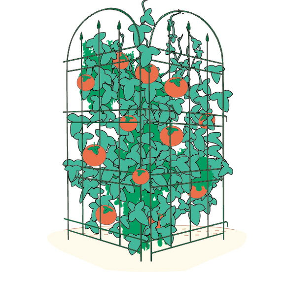 �ȥ�ꥹ���ե��󥹡֥��饷�å���2�ĥ��åȡ�No.180