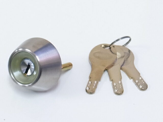 ゴール社対応D9ディンプルシリンダーTX31-30用　#11ケースシリンダー　シルバー色蓄光タイプ　テール刻..