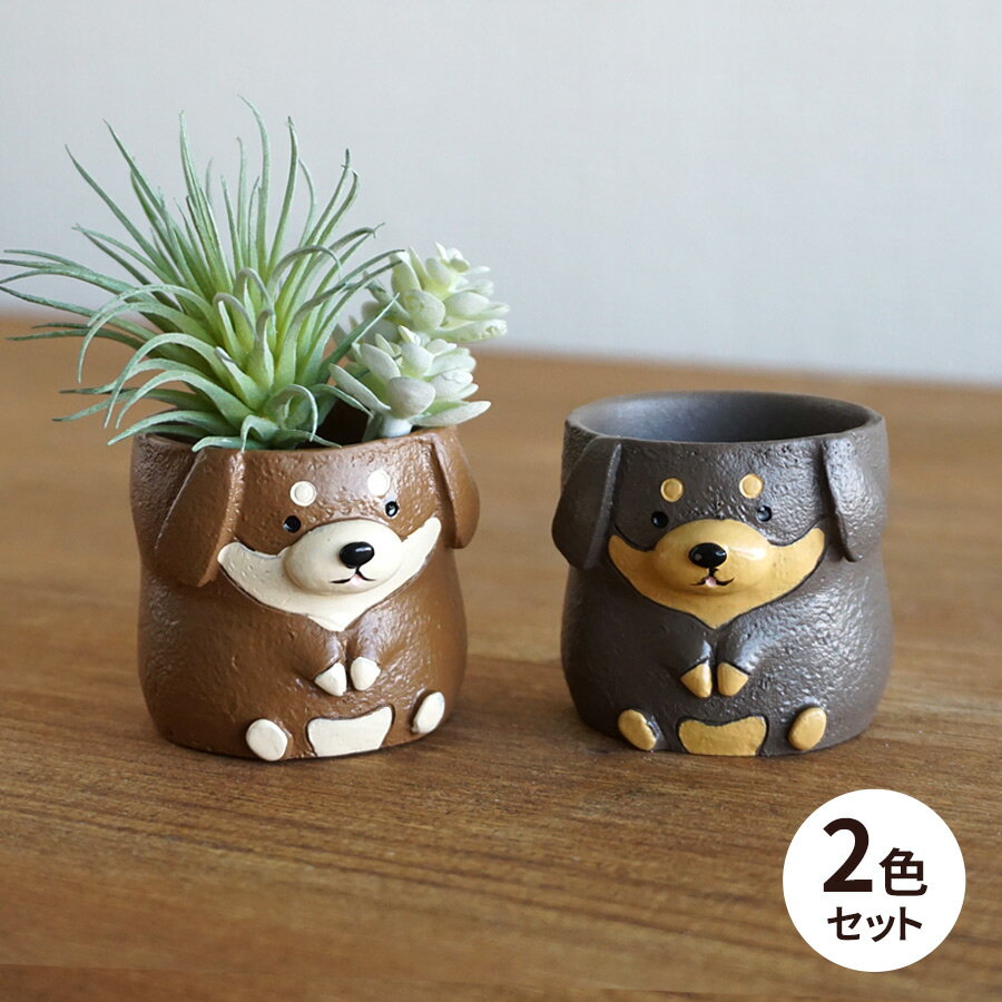 楽天市場】犬(サイズ(植木鉢)~ 3号)(ガーデニング・農業 楽天市場】犬(サイズ(植木鉢)~ 3号)(ガーデニング・農業