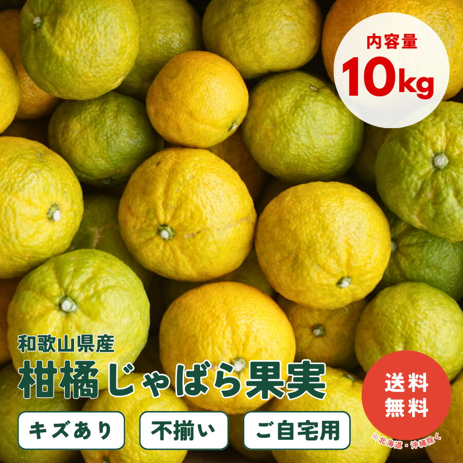 【早期割引 12/27 10時まで】和歌山産 柑橘じゃばら果実 10kg 訳あり キズあり 不揃い ご自宅用 2024年度分 果汁 果皮 柑橘 ジャバラ フルーツ 果物 %OFF【送料無料 ※北海道・沖縄除く】