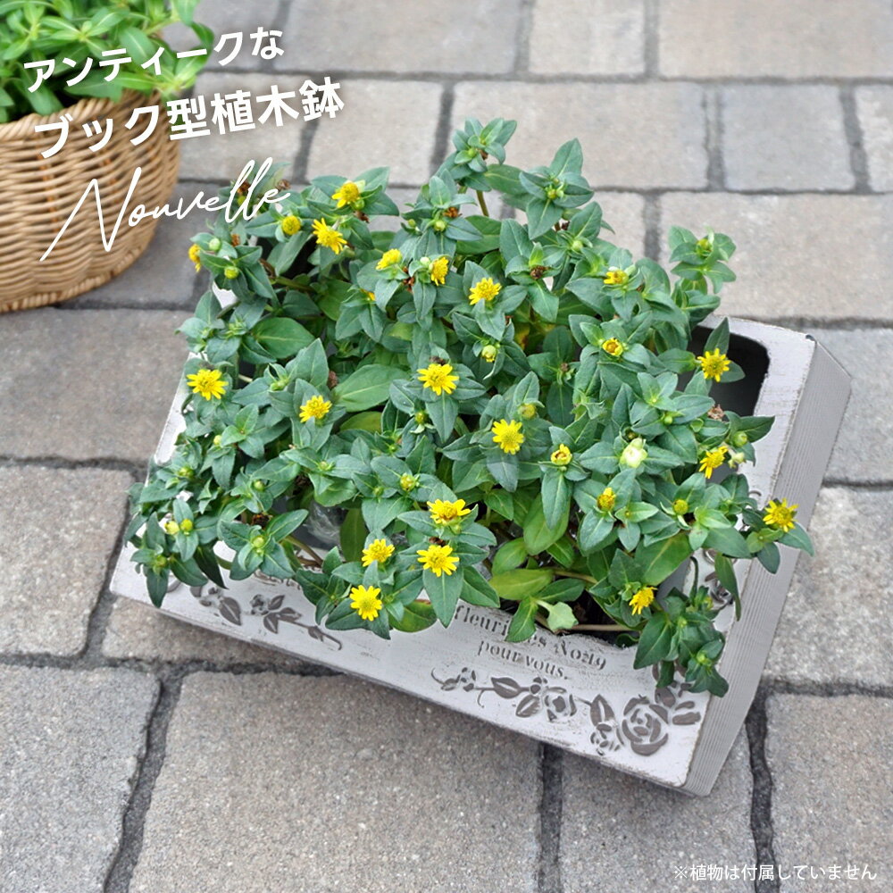 ͧ�� �̥�����磻�� �ꤢ�� �֥å����ץ�󥿡� ����ȭ �ܷ� �����ǥ˥� ���� ����ƥꥢ �����ǥ� ������� �İ��� ������� ���� ���� �� ���� ����...