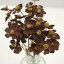 造花 asca(アスカ) 忘れな草 1束(3本) チョコブラウン 1本 全長約22cm 【A-33534-028c】わすれな草 勿忘草 アーティフィシャルフラワー 秋 小花 茶色の花 インテリア 飾り ディスプレイ 花材
