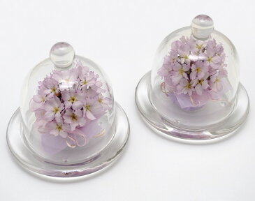【送料無料】ボトルフラワー 桜 さくら(ドーム型) 細リボン 【LA_BINKA 花 アレンジメント フラワー ギフト 誕生日プレゼント 女性 母 祖母 お祝い 結婚祝い 結婚記念日 妻 退職祝い 快気祝い 新築祝い お見舞い ドライフラワー 春 ピンク 日本製】