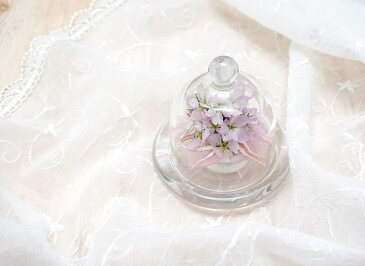 【送料無料】ボトルフラワー 桜 さくら(ドーム型) Sサイズ LA_BINKA アレンジメント フラワーギフト