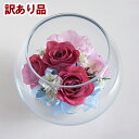 【訳あり アウトレット】ボトルフラワー ローズ ユリ ラウンド型 1個 バラ 薔薇 リリー 百合 ドライフラワー 花 フラワーアレンジメント インテリア 飾り ...