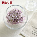 【訳あり】ボトルフラワー 桜 ラウンド型 1個 さくら サクラ ドライフラワー 花 フラワーアレンジメント インテリア 飾り 可愛い おしゃれ 上品 ピンク 和風 日本製 お祝い お悔やみ お供え 送料無料 【北海道・沖縄発送不可】