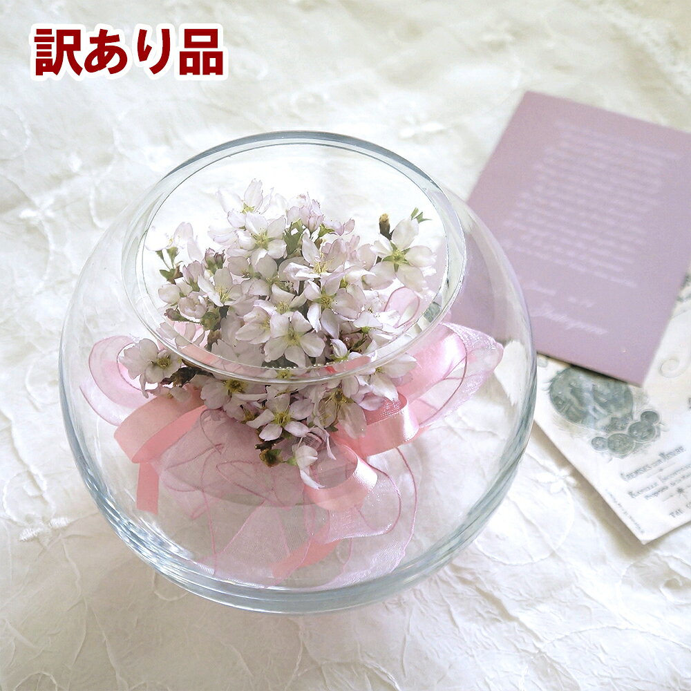 内容1個サイズ約 高さ12cm×直径15cm素材花/ドライフラワー 容器/ガラスお手入れ方法柔らかい乾いた布でボトルを乾拭きしてください。注意事項■本物のお花を使用している為、枝ぶり・花付きなど形状には個体差があります。予めご了承ください。 ■掲載写真は複数の中から無作為に選んで撮影しております。個体差が大きい商品のため、花の色やサイズ等は写真と異なる場合がございます。 ■直射日光のあたる場所でのご使用は、退色の原因となります。 ■ドライフラワーは非常に繊細です。輸送中の衝撃などにより落ちたり、欠けたりする場合がございます。 予めご了承ください。 特に桜に関しては、他の花に比べて加工が難しく比較的に花びらやがくが落ちやすい素材です。 ■ガラス容器には、製作工程により小さな気泡・がたつき・歪みなどが見られる場合があります。ガラス蓋には多少ズレがある場合があります。また、厚みに個体差があります。 ■装飾用のリボンなどの色・形状は予告なく変更になる場合があります。 ■上記内容による返品・交換はお受けいたしかねます。ご不明な点等ございましたら事前にお問い合わせください。関連キーワード花 フラワーギフト 贈り物 オシャレ お洒落 かわいい カワイイ 可愛い 華やか ウエディング ウェディング 結婚式 お祝い 誕生日 お礼 お供え物 供養 仏壇 年忌法要 20代 30代 40代 50代 60代 オールシーズン 一年中 通年 長持ち 玄関飾り 室内 屋内 部屋 店 店舗 ショップ オフィス 病院 学校 教室 施設 ホテル 旅館 友人 家族 母親 妻 父親 夫 祖父 祖母 娘 息子 子供 子ども こども 孫 男性 女性 リポーズジョイ≪こちらの商品は訳ありB級品です≫【訳あり】ボトルフラワー 桜 中サイズガラスの中で美しく咲く花々。 優美で可憐な桜を使用したボトルフラワー。 和室・洋室どんな場所でも優しく空間になじみます。 玄関先やお部屋はもちろん、キッチンやリビングなどにも相性ぴったり。 また、ガラス容器に密封保存されているため、ほこりや花粉の心配もなく長期間お花を楽しんでいただけます。 ご自身用にはもちろん、大切な人への贈り物としてもおすすめです。真上から見たイメージ生の花から水分を抜き取り、保存料と液体色素を染み込ませて作成する 「プリザーブドフラワー」に対し、こちらの「ボトルフラワー」は、 生花に特殊加工（ドライ加工）を施してガラス製ボトルの中に密封して作成します。 自然のままの姿を保ったまま長期間残すことができることが特徴です。 生花のままだとあっという間に散ってしまうお花も ドライ加工することで、長く楽しむことができます。真横（リボン正面）から見たイメージ別アングルから見たイメージボトルフラワーとはご注文前にご一読ください▼『ボトルフラワー』一覧はこちら