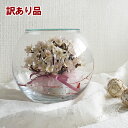 【訳あり アウトレット】ボトルフラワー 桜 黒江塗 赤 ラウンド型 1個 さくら サクラ 大きい ドライフラワー 花 フラワーアレンジメント インテリア 飾り ...