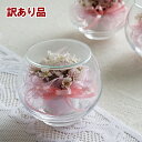 【訳あり アウトレット】ボトルフラワー 桜 ラウンド型 1個 さくら サクラ ドライフラワー 花 フラワーアレンジメント インテリア 飾り 可愛い おしゃれ 上...