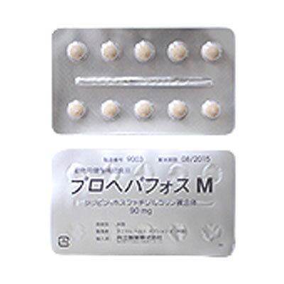 プロヘパフォス M 共立製薬 ▼b ペット フード 犬 ドッグ 猫 キャット サプリメント repros-store-10024348 リプロスストア サンプル画像2