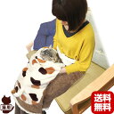 キャティーマン にゃでにゃでブラシ付き 腰に巻ける癒しの抱っ...