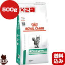 CJi xei[_CGbg Lp Rg[ hC 500g~2 b ybg t[h L Lbg Ö@H 