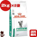 CJi xei[_CGbg Lp Rg[ hC 2kg~2 b ybg t[h L Lbg Ö@H 