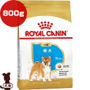 ロイヤルカナン BHN 柴犬 子犬用 800g ▼g ペット フード 犬 ドッグ パピー ブリードヘルスニュートリション