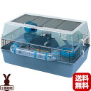 小動物用ケージ デュナファン ラージ ファープラスト ▼w ペット グッズ 小動物 ハムスター マウス ハウス フルセット イタリア製 Duna Fun Large ferplast 送料無料(4)