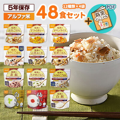 非常食セット 防災食 アルファ米 48食セット 12種類×各4袋 尾西食品 送料無料 自宅療養 たけのこ