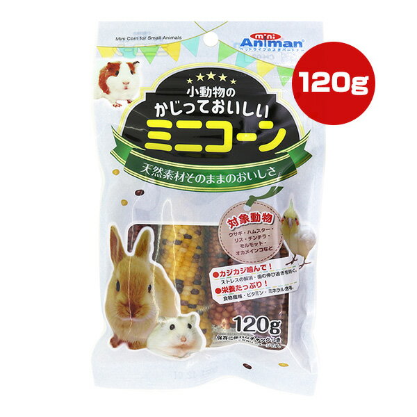 小動物のかじっておいしい ミニコーン 120g ドギーマンハヤシ ▼a ペット フード うさぎ ハムスター リス チンチラ モルモット オカメインコ 天然素材