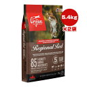 【キャンペーン価格】オリジン レジオナルレッド キャット 5.4kg×2袋 チャンピオンペットフーズ ▽t ペット フード 猫 キャット ドライ 全年齢 オール...
