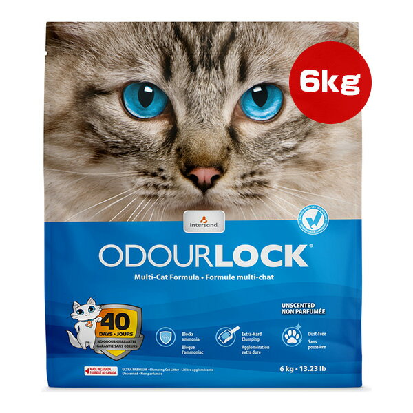 【ポイント5倍】【オマケ付き】猫砂 オードロック 6kg インターサンド ▼a ペット グッズ 猫 キャット トイレ ODOURLOCK 送料込