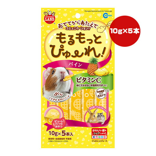 もるもっとぴゅーれ パイン 10g×5本入 マルカン ▼a ペット フード 小動物 モルモット ウサギ ハムスター モモンガ チンチラ デグー おやつ 食物繊維 毛玉ケア ビタミンC ミニマルランド