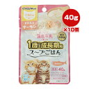 ねこちゃんの国産牛乳を使った1歳までの成長期用スープごはん ささみ＆サーモン こねこ用 40g×10個 ドギーマンハヤシ ▼a ペット フード 猫 キャット ウェット パウチ 水分補給 総合栄養食 国産 CE-08