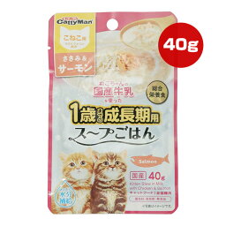 ねこちゃんの国産牛乳を使った1歳までの成長期用スープごはん ささみ＆サーモン こねこ用 40g ドギーマンハヤシ ▼a ペット フード 猫 キャット ウェット パウチ 水分補給 総合栄養食 国産 CE-08