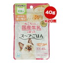 ねこちゃんの国産牛乳を使ったスープごはん ささみ＆サーモン 成猫用 40g×20個 ドギーマンハヤシ ▼a ペット フード 猫 キャット ウェット パウチ 水分補給 総合栄養食 国産 CE-09