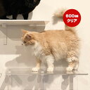 キャットロードプラス ロングステップ クリア 600mm アニマコレ ▼c ペット グッズ 猫 キャット 取付簡単 ウォーク タワー ツリー DIY 人気 オシ...