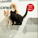 キャットロードプラス キャットステップ クリア 350mm 3枚セット アニマコレ ▼c ペット グッズ 猫 キャット 取付簡単 ウォーク タワー ツリー DI...