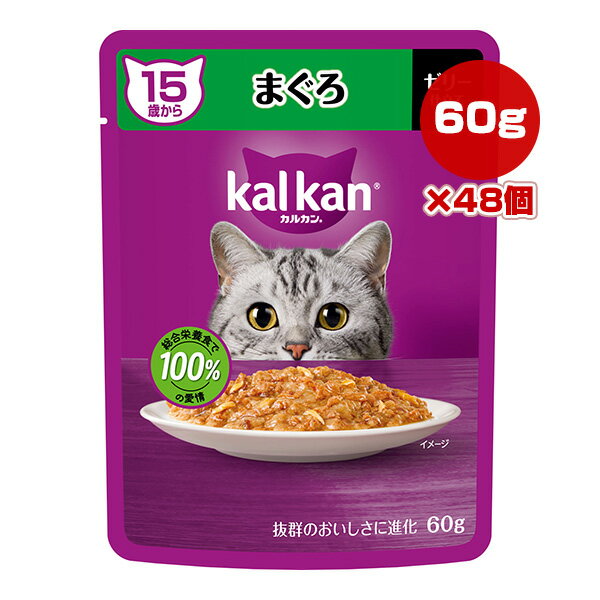 륫 ѥ 15Ф ޤ 60g48 ޡ a ڥå ա ǭ å å ȥ ѥ ܿ k...