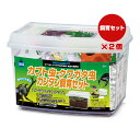 カブト虫・クワガタ虫 カンタン飼育セット×2個 マルカン ▼a ペット グッズ 昆虫 幼虫 成虫 飼育 ケース KS-13