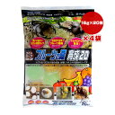 ワイドカップ フルーツの森 育成20 16g×20個入×4袋 フジコン ▼a ペット フード 昆虫 カブト虫 クワガタ虫 成虫用 広口 浅型 B-164
