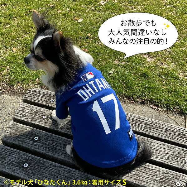 MLB��ǧ �����󥼥륹 �ɥ��㡼�� ��ë��ʿ�����ǥ� ���㡼�� �֥롼 S �ե��󥿥������� ��w �ڥå� ���å� �� �ɥå� ��� LosAngeles Dodgers SHO-4006B-SM