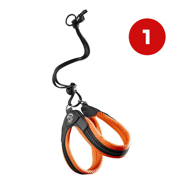 Harness Leash - リベルタ ソフトメッシュ 1 オレンジ ▼g ペット グッズ 犬 ドッグ アクセサリー ハーネスリード 胴輪 引き紐 TRE PONTI LTP103 送料無料