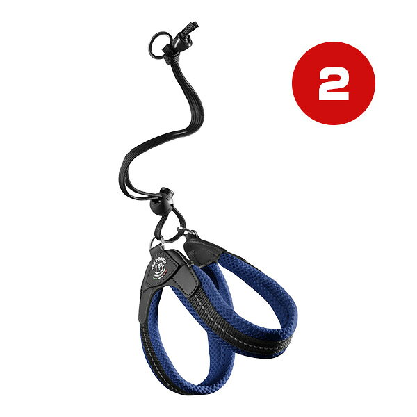 Harness Leash - リベルタ ソフトメッシュ 2 ブルー ▼g ペット グッズ 犬 ドッグ アクセサリー ハーネスリード 胴輪 引き紐 TRE PONTI LTP103 送料無料