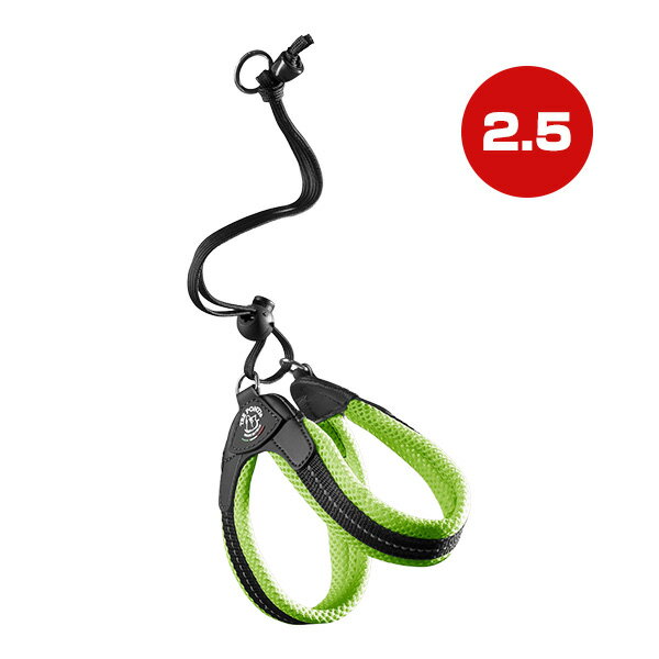 Harness Leash - リベルタ ソフトメッシュ 2.5 グリーン ▼g ペット グッズ 犬 ドッグ アクセサリー ハーネスリード 胴輪 引き紐 TRE PONTI LTP103 送料無料