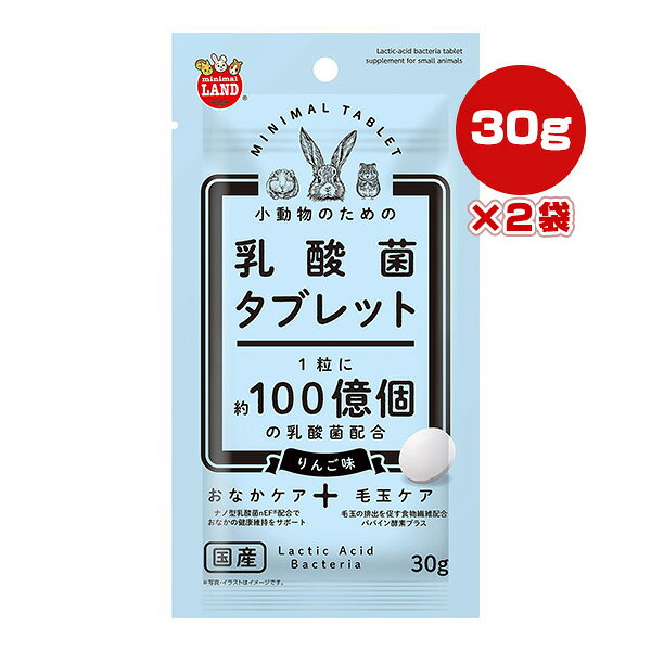 小動物のための乳酸菌タブレット りんご味 30g×2袋 マルカン ▼a ペット フード 小動物 サプリメント おなかケア 毛玉ケア 国産 minimal LAND ML-648 repros-store-10085126 リプロスストア パッケージ画像