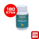 送料無料・同梱可 ●特長これまでの乳酸菌製品とは全く異なるペディオコッカス菌製品。毎日のおなかの健康に。●原材料ペディオコッカス・アシディラクティシ、サッカロミセス・ボウラディ、ラクトース、マンナンオリゴ糖、酵母抽出物、ゼラチン、アルミノケイ酸ナトリウム●使用方法カプセルのまま、もしくは中身をフードに混ぜて与えてください。中型犬(5kg-15kg)：1日1カプセル大型犬(15kg以上)：1日2カプセル●貯法高温多湿または直射日光をさけて保管してください。開封後は、小児の手の届かないところに保管してください。●有効期間：2年間●包装：400mg×180カプセル●対象動物：犬　