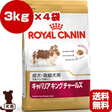 BHN キャバリアキング チャールズ 成犬・高齢犬用 3kg×4袋 ロイヤルカナン▼g ペット フード ドッグ 犬 アダルト シニア ブリードヘルスニュートリション送料無料・同梱可