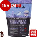 送料無料・同梱可 ☆ファーストメイト キャットフード チキンウィズブルーベリー 1kg×16袋 ボンビアルコン ▼g ペット フード 猫 キャット グレインフリ...