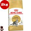 ロイヤルカナン FBN アメリカンショートヘア 2kg ▼g ペット フード 猫 キャット 成猫用 アダルト フィーラインブリードニュートリション 3,559円