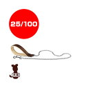 ferplast ファープラスト デイトナ GM 25/100 ブラウン ファンタジーワールド ▼w ペット グッズ 犬 ドッグ アクセサリー リード チェーン
