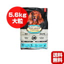 オーブンベークドトラディション フィッシュ 大粒 5.6kg ファンタジーワールド ▼w ペット フード 犬 ドッグ 送料無料